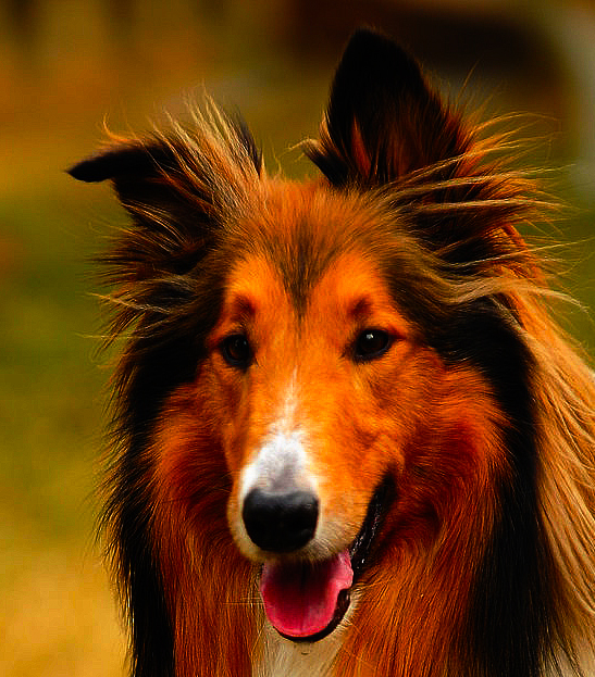 7561693962_26f8d952a3_b